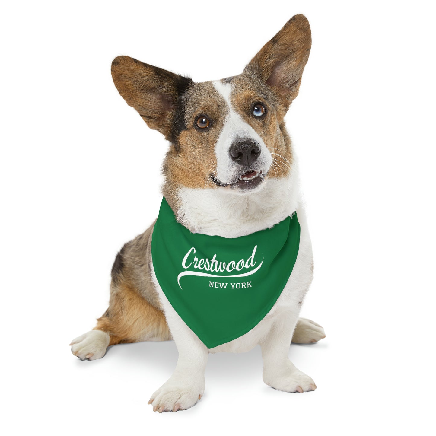 Crestwood Swoosh Pet Bandana Collar