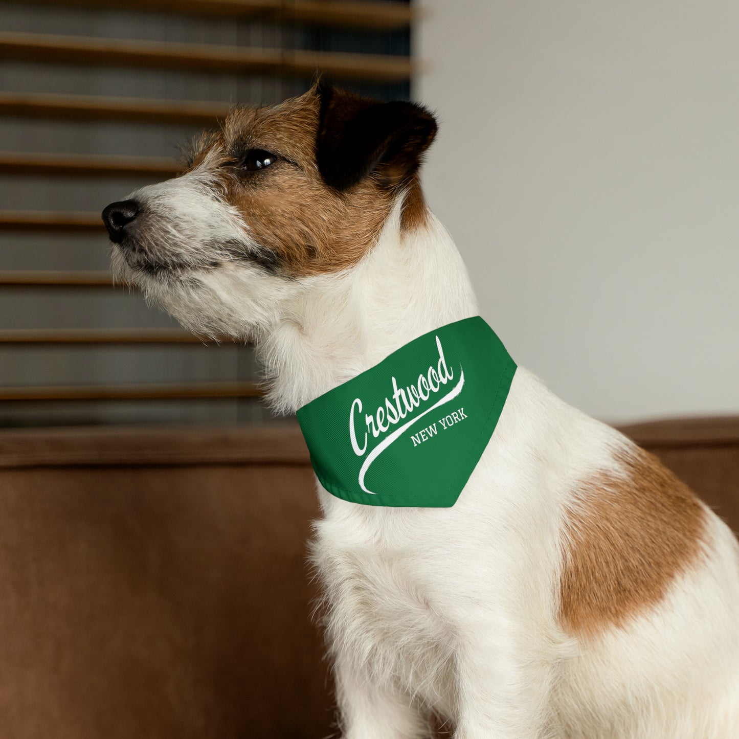 Crestwood Swoosh Pet Bandana Collar