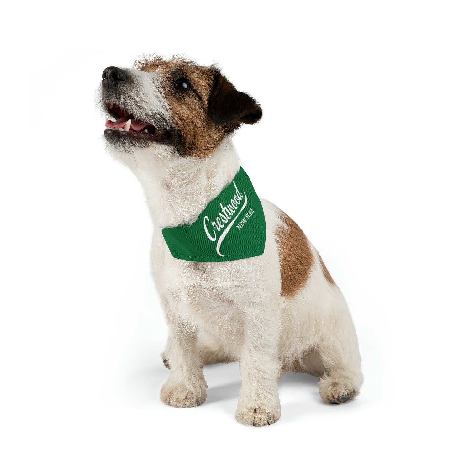 Crestwood Swoosh Pet Bandana Collar