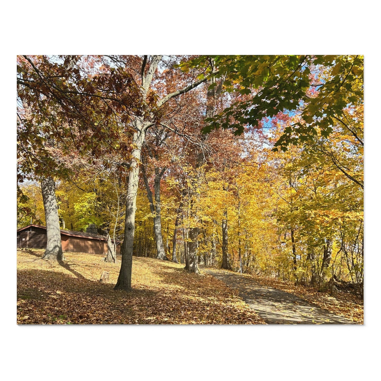 BRP Trail Puzzle - Foliage