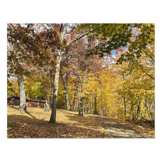 BRP Trail Puzzle - Foliage