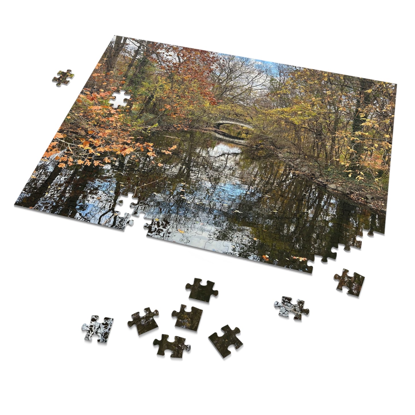 BRP Trail Puzzle - Reflective Bridge