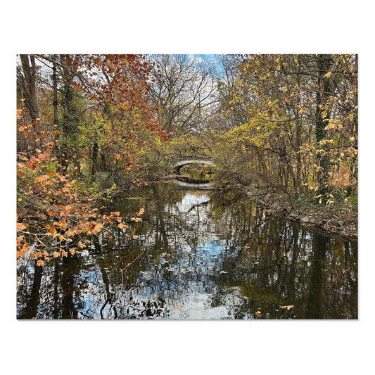 BRP Trail Puzzle - Reflective Bridge