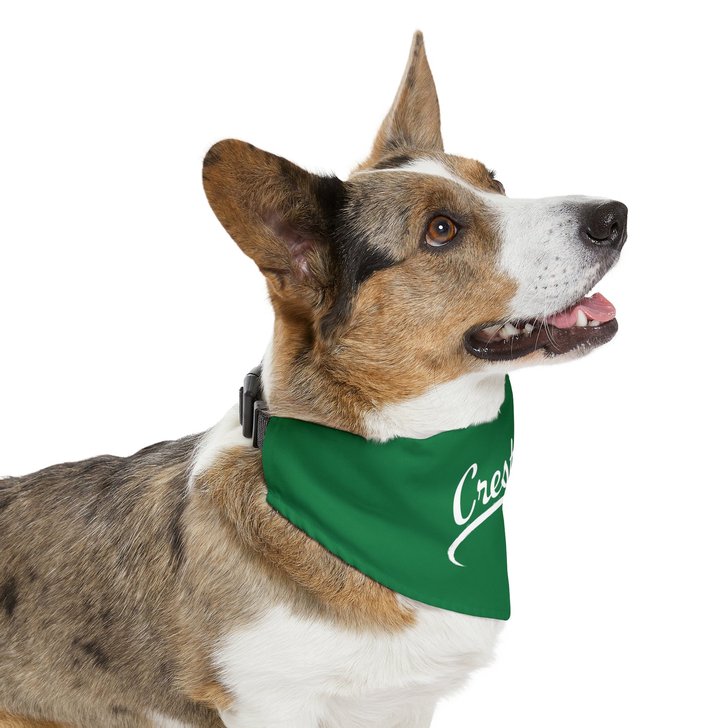 Crestwood Swoosh Pet Bandana Collar