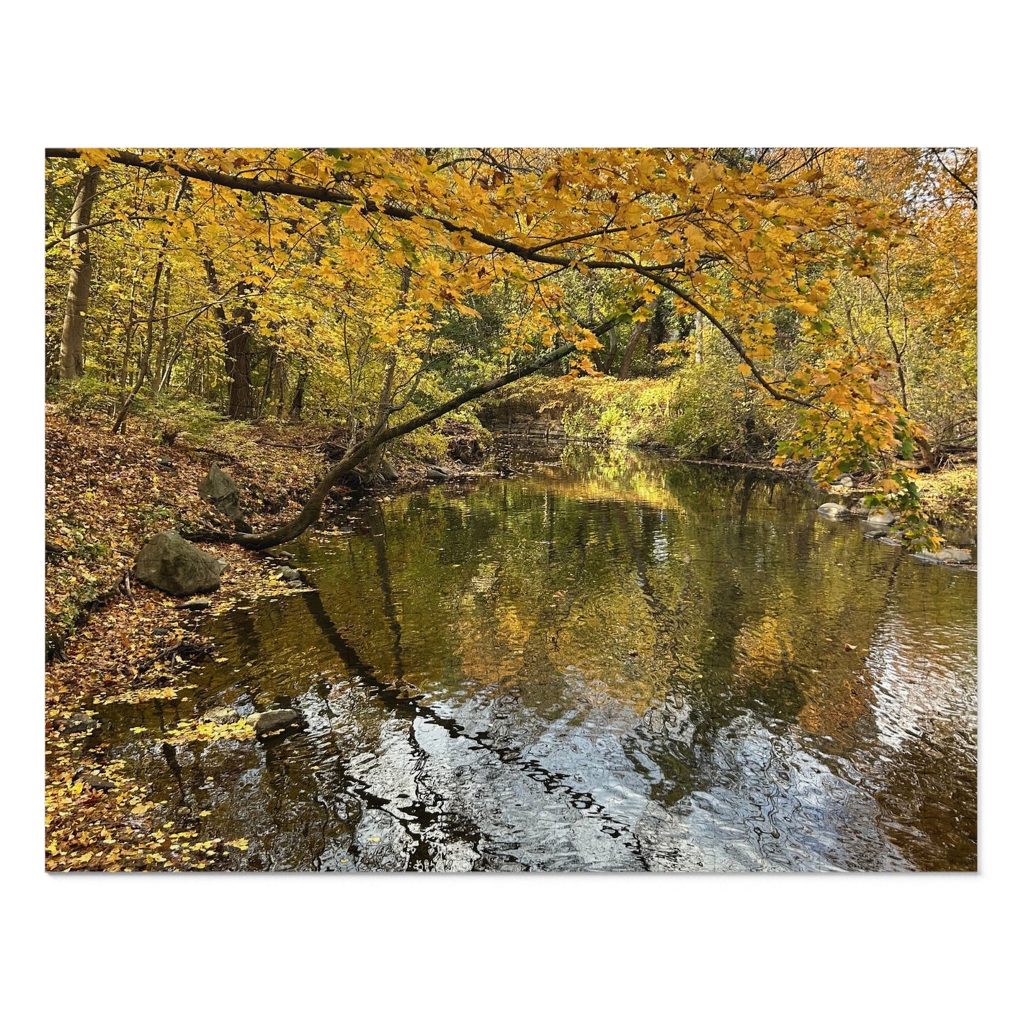 BRP Trail Puzzle - Autumn Stream & Trees