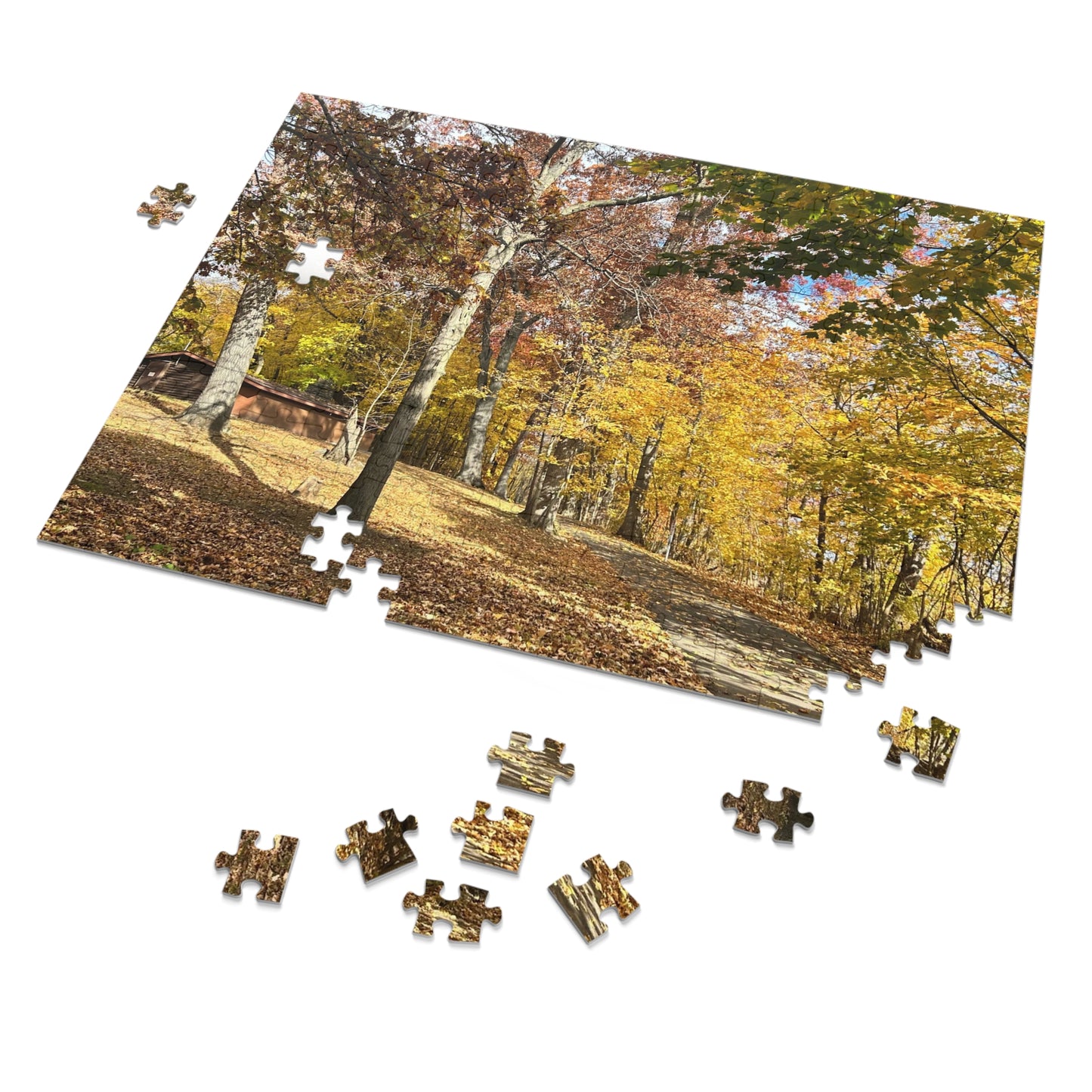 BRP Trail Puzzle - Foliage